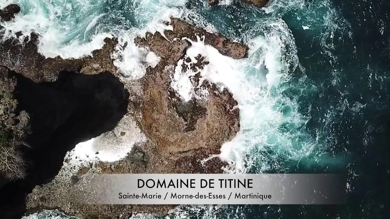 Апарт отель Domaine De Titine Bonneville Апарт-отель